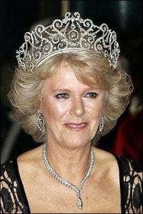 卡米拉最新爆料头条新闻,揭开王室秘辛，震惊公众眼球！